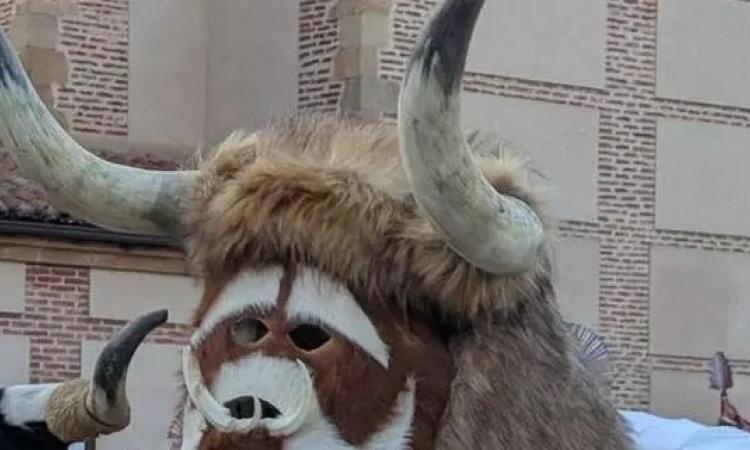 Entruejo Carrizo de laa Ribera