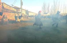 Ritual festivo de Abejera