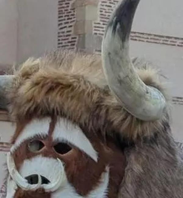 Entruejo Carrizo de laa Ribera